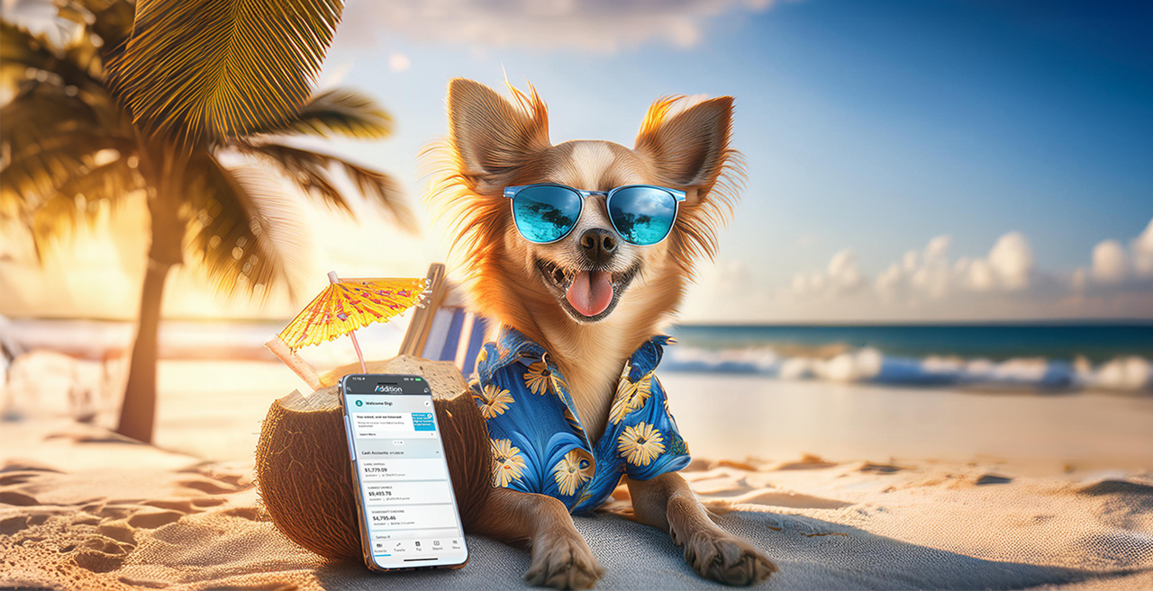 Digidog on the beach with the New Digital Banking App